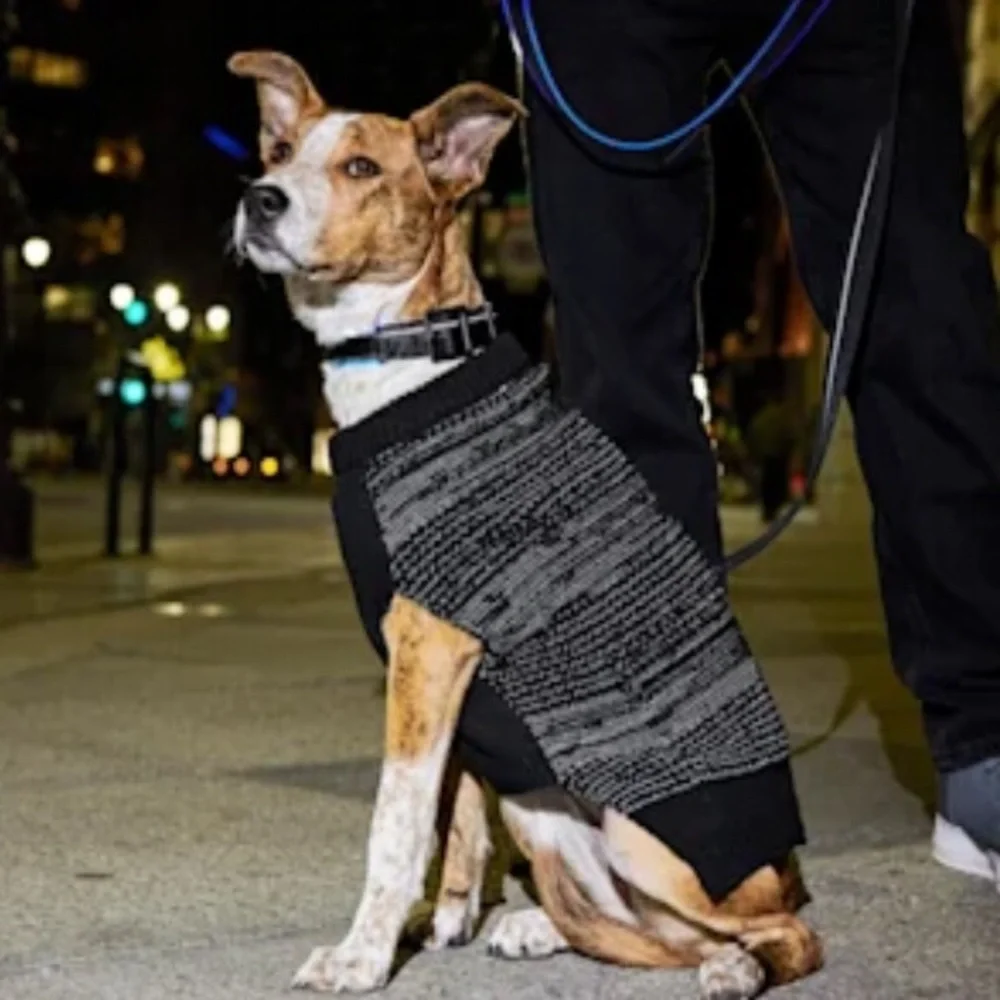 NWT Reddy reflective dog sweater S